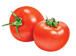 Tomato
