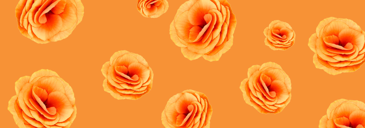 Carousel background image