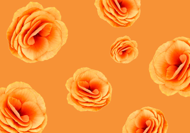 Carousel background image