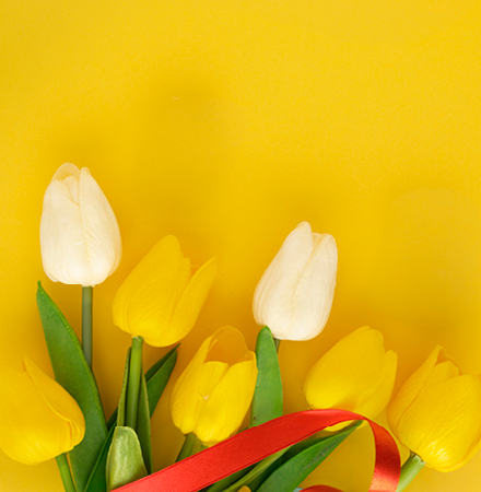 Carousel background image