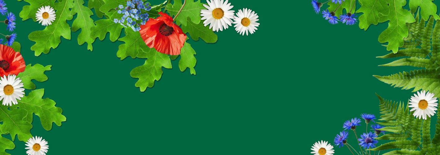Carousel background image