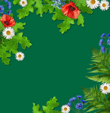 Carousel background image