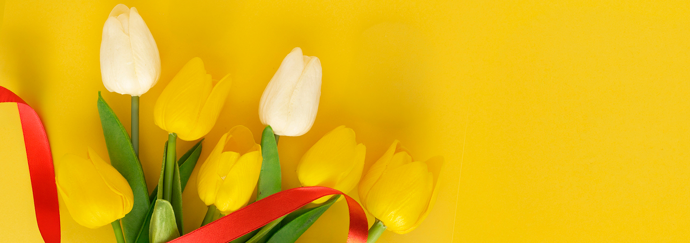 Carousel background image